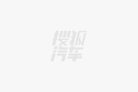 型车 奇瑞QQ多米正式上市电子pg5万级