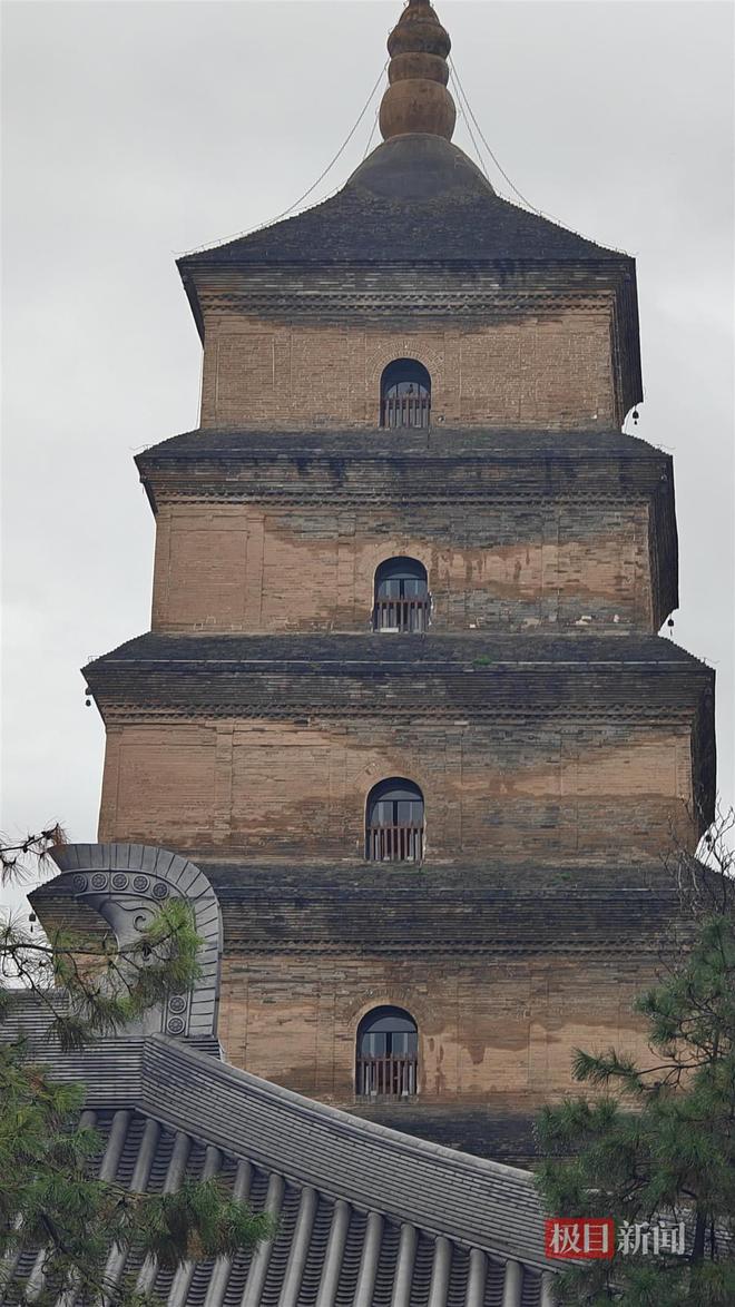 蘑菇大雁塔受潮城墙布满青苔气象局解释成因pg模拟器试玩西安连续一个多月降雨遍地长(图3)